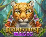 Rainforest Magic